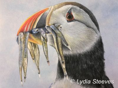 A Mouthful - CP e-Packet